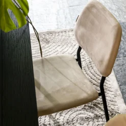 Best Dutchbone Eetkamerstoel Darby Velvet