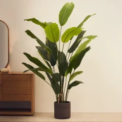 Best Kave Home Kunstplant Banano, Bananenplant (Musa), 210cm hoog, excl. sierpot Groen