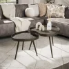 Discount LifestyleFurn Organische Salontafel Ananda Brons Liquid, Set van 2 stuks