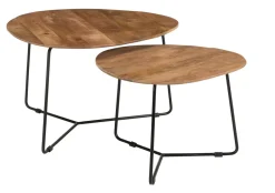 New Brix Organische Salontafel Ivy Set van 2 stuks