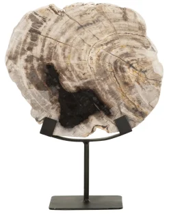 Sale MUST Living Ornament Fossil Versteend hout, 33cm hoog