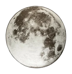 Discount Zuiver Outdoor Vloerkleed Moon 280cm, kleur Grijs