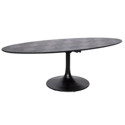 New Richmond Interiors Ovale Eettafel Blax Eikenhout en staal, kleur Zwart