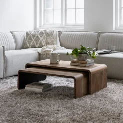 Discount DTP Home Salontafel Evo Teakhout, Set van 2 stuks
