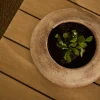 Kave Home Schaal Rivor Terracotta