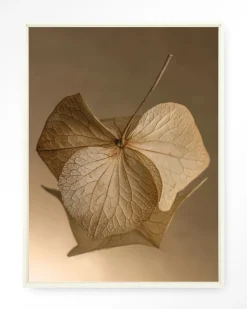 Urban Cotton Wandkleed Leaf Me: Sheltered in maat en frame naar keuze